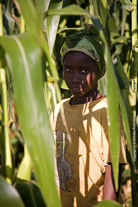 014_AgCF.0218V-African-Conservation-Farming---Girl-in-Maize-Field-Zambia