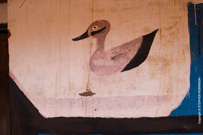 031_CZmA.8199-African-Painted-House-Duck-Detail