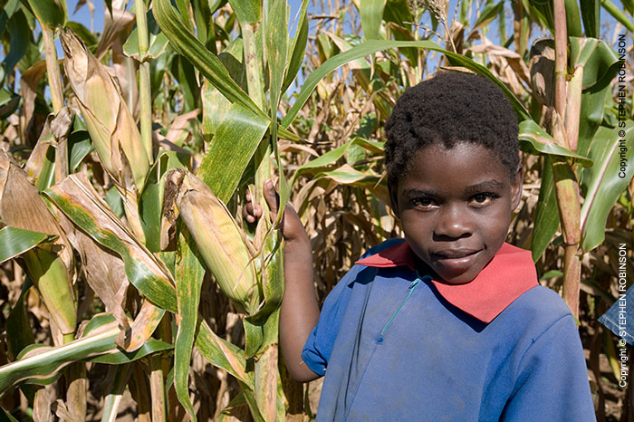 026_AgCF.0533-Cons-Farmer's-Child-&-Maize-Zambia