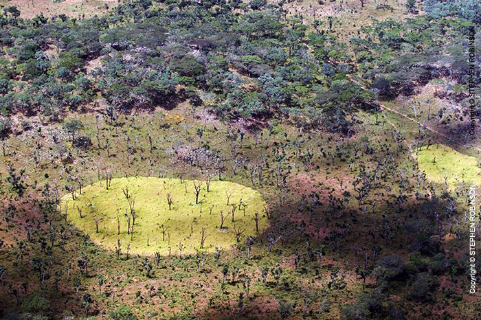 005_FTD.1302-Slash-&-Burn-Deforestation-Zambia-aerial