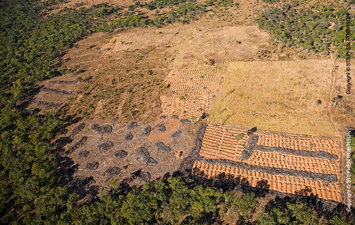020_FTD.2810-Slash-&-Burn-Deforestation-Zambia-aerial