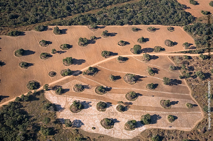 022_FTD.1631-Deforestation-for-Commercial-Farming-Zambia-aerial