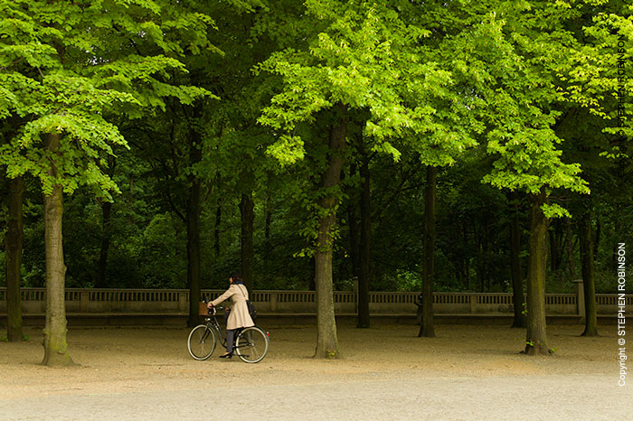 042_UDe.2033-Cyclist-&-Linden-Trees-Berlin