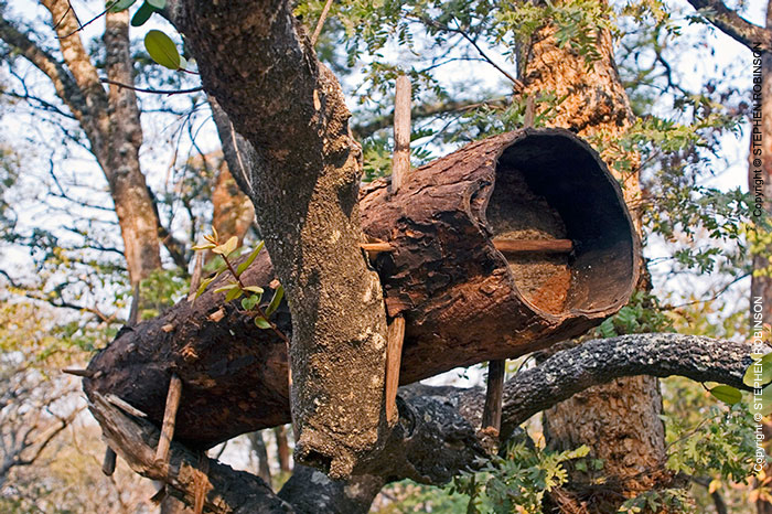131_IB.8357-Traditional-African-Bark-Hive-for-Wild-Bees-N-Zambia