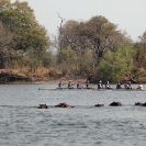 06_SZmR.0359-Rowing-&-Zambezi-Wildlife-Cape-Town-Crew-&-Hippos