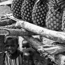 024_PZmNW.9000BW-Pineapples-NW-Zambia