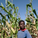 027_AgCF.0543V-Cons-Farmer's-Child-&-Maize-Zambia