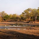 021_LZmE.0669-Lagoon-Luangwa-Valley-E-Zambia