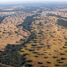 006_FTD.1613-Deforestation-for-Commercial-Farming-Zambia-aerial