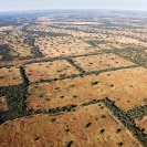007_FTD.1617-Deforestation-for-Commercial-Farming-Zambia-aerial