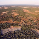 017_FTD.2696-Slash-&-Burn-Deforestation-Zambia-aerial