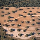 022_FTD.1631-Deforestation-for-Commercial-Farming-Zambia-aerial
